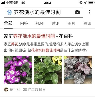 三图样式效果