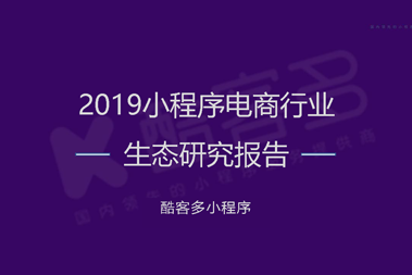 2019小程序电商行业生态研究报告